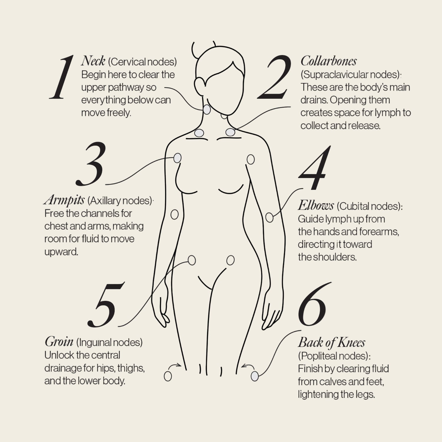 Body Ritual Dots