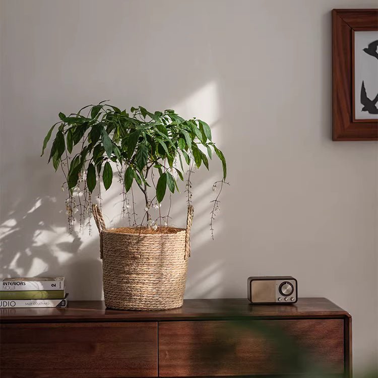 Seagrass Planter Basket