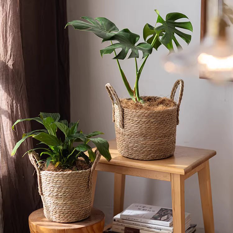 Seagrass Planter Basket