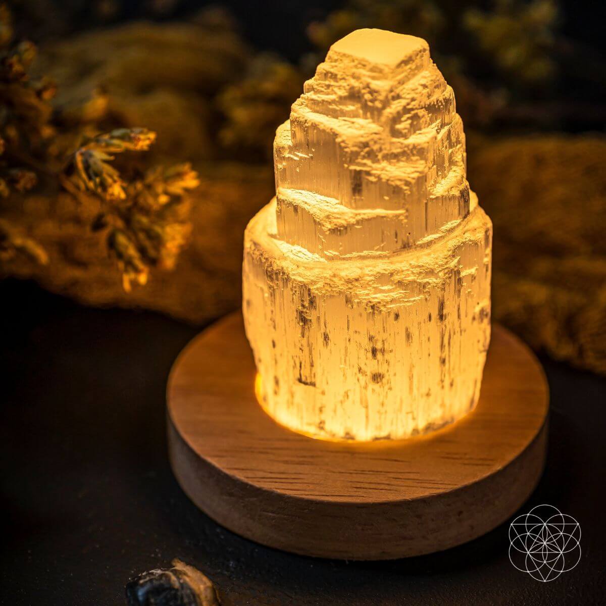 Selenite Lamp
