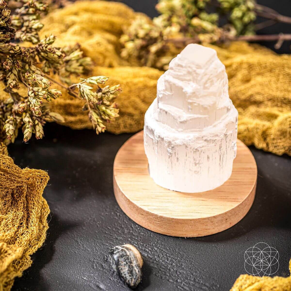 Selenite Lamp